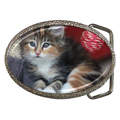 Comfy Kitty Belt Buckles by trendistuff