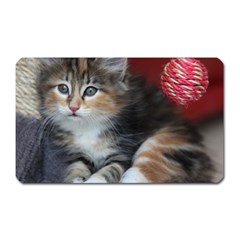 Comfy Kitty Magnet (rectangular) by trendistuff