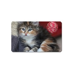 Comfy Kitty Magnet (name Card) by trendistuff