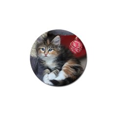 Comfy Kitty Golf Ball Marker (4 Pack) by trendistuff