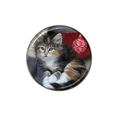 Comfy Kitty Hat Clip Ball Marker by trendistuff