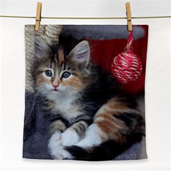 Comfy Kitty Face Towel by trendistuff