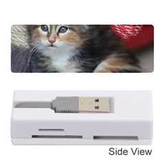 Comfy Kitty Memory Card Reader (stick) 