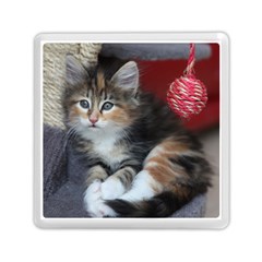 Comfy Kitty Memory Card Reader (square) 