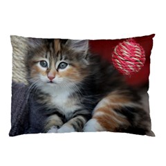 Comfy Kitty Pillow Cases (two Sides)