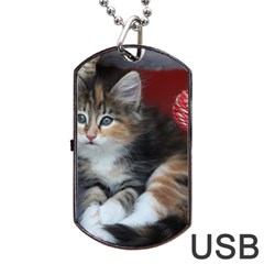 Comfy Kitty Dog Tag Usb Flash (two Sides) 