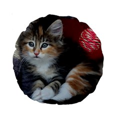 Comfy Kitty Standard 15  Premium Round Cushions by trendistuff