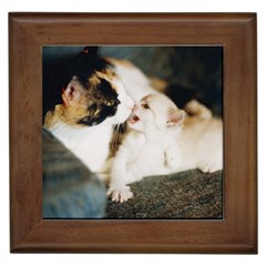 Calico Cat And White Kitty Framed Tiles by trendistuff