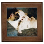 CALICO CAT AND WHITE KITTY Framed Tiles