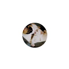 Calico Cat And White Kitty 1  Mini Buttons by trendistuff