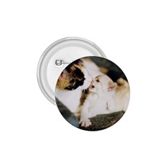 Calico Cat And White Kitty 1 75  Buttons