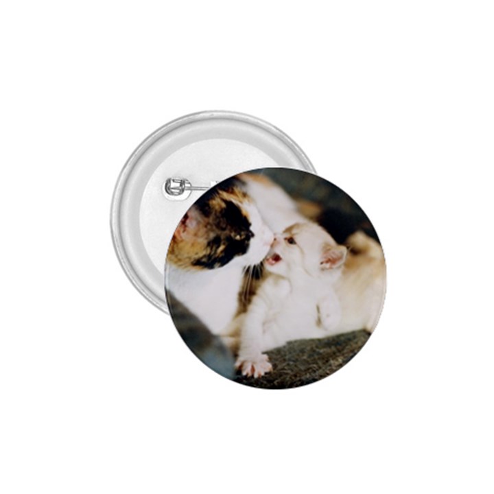 CALICO CAT AND WHITE KITTY 1.75  Buttons