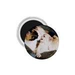 CALICO CAT AND WHITE KITTY 1.75  Magnets