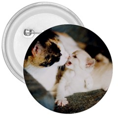 Calico Cat And White Kitty 3  Buttons by trendistuff