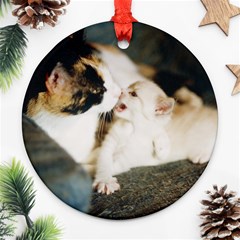 Calico Cat And White Kitty Ornament (round) 