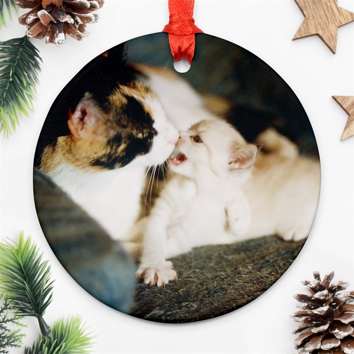 CALICO CAT AND WHITE KITTY Ornament (Round) 