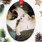 CALICO CAT AND WHITE KITTY Ornament (Oval) 