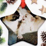 CALICO CAT AND WHITE KITTY Ornament (Star) 