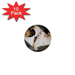 Calico Cat And White Kitty 1  Mini Buttons (10 Pack)  by trendistuff