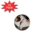 CALICO CAT AND WHITE KITTY 1  Mini Buttons (10 pack) 