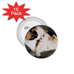 Calico Cat And White Kitty 1 75  Buttons (10 Pack) by trendistuff