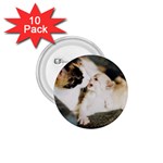 CALICO CAT AND WHITE KITTY 1.75  Buttons (10 pack)