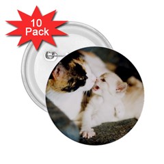 Calico Cat And White Kitty 2 25  Buttons (10 Pack)  by trendistuff