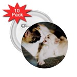 CALICO CAT AND WHITE KITTY 2.25  Buttons (10 pack) 