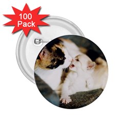 Calico Cat And White Kitty 2 25  Buttons (100 Pack)  by trendistuff