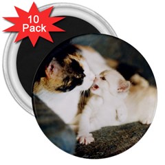 Calico Cat And White Kitty 3  Magnets (10 Pack)  by trendistuff