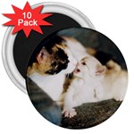 CALICO CAT AND WHITE KITTY 3  Magnets (10 pack) 