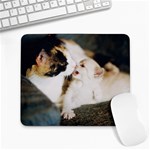 CALICO CAT AND WHITE KITTY Large Mousepads