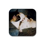 CALICO CAT AND WHITE KITTY Rubber Coaster (Square) 