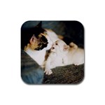 CALICO CAT AND WHITE KITTY Rubber Square Coaster (4 pack) 