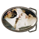 CALICO CAT AND WHITE KITTY Belt Buckles