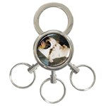 CALICO CAT AND WHITE KITTY 3-Ring Key Chains