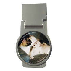 Calico Cat And White Kitty Money Clips (round)  by trendistuff