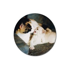 Calico Cat And White Kitty Magnet 3  (round) by trendistuff