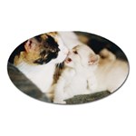 CALICO CAT AND WHITE KITTY Oval Magnet