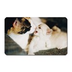 CALICO CAT AND WHITE KITTY Magnet (Rectangular)