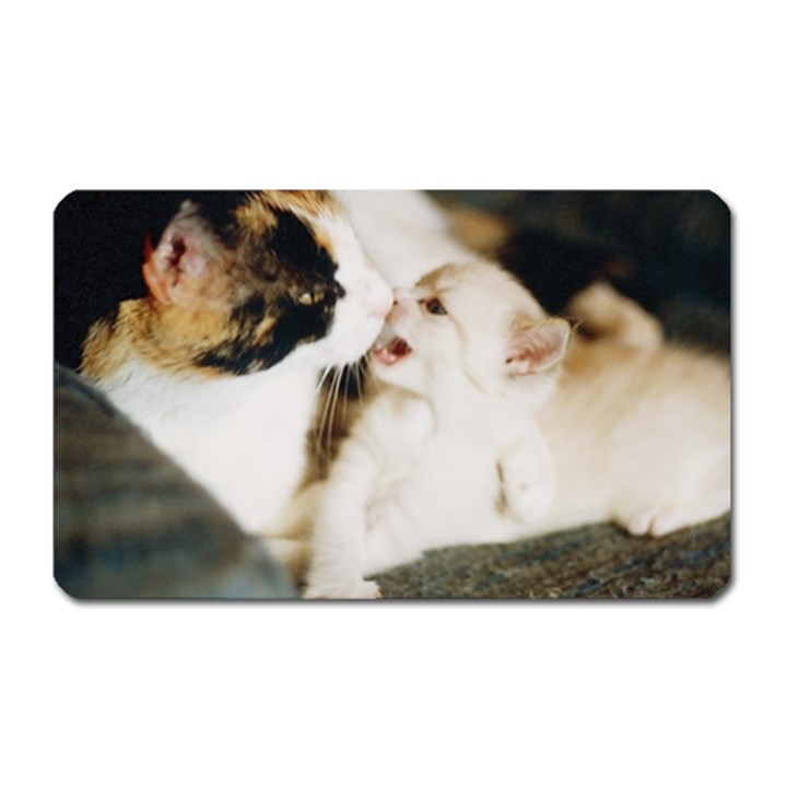 CALICO CAT AND WHITE KITTY Magnet (Rectangular)