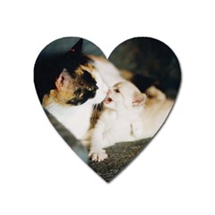 Calico Cat And White Kitty Heart Magnet by trendistuff