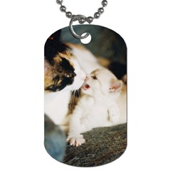 Calico Cat And White Kitty Dog Tag (one Side)