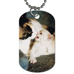 CALICO CAT AND WHITE KITTY Dog Tag (One Side)