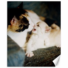 Calico Cat And White Kitty Canvas 16  X 20   by trendistuff