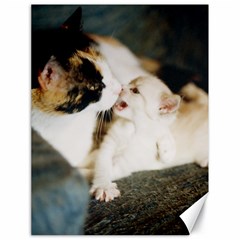 Calico Cat And White Kitty Canvas 18  X 24   by trendistuff