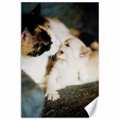 Calico Cat And White Kitty Canvas 24  X 36  by trendistuff