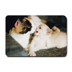 Calico Cat And White Kitty Small Doormat  by trendistuff