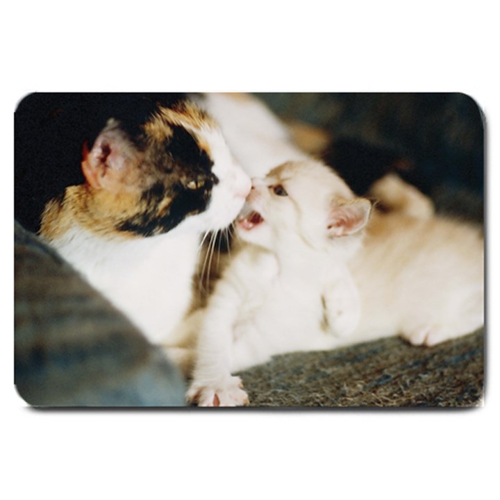 CALICO CAT AND WHITE KITTY Large Doormat 