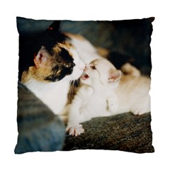 Calico Cat And White Kitty Standard Cushion Case (one Side)  by trendistuff